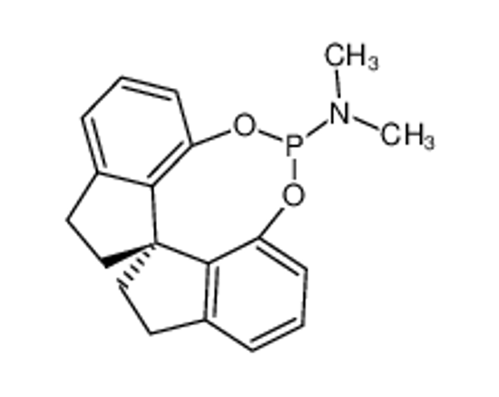 Picture of (11aR)-(+)-10,11,12,13-Tetrahydrodiindeno[7,1-de:1′,7′-fg][1,3,2]dioxaphosphocin-5-dimethylamine,N-Dimethyl-[(R)-1,1′-spirobiindane-7,7′-diyl]phosphoramidite