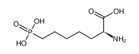 Picture of (2S)-2-amino-7-phosphonoheptanoic acid
