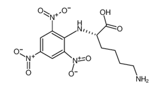 Picture of (2S)-6-amino-2-(2,4,6-trinitroanilino)hexanoic acid