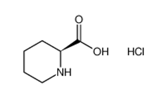 Picture of (2S)-piperidine-2-carboxylic acid,hydrochloride