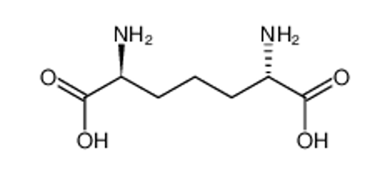 Picture of LL-2,6-diaminopimelic acid