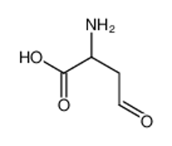 Picture of (2S)-2-azaniumyl-4-oxobutanoate