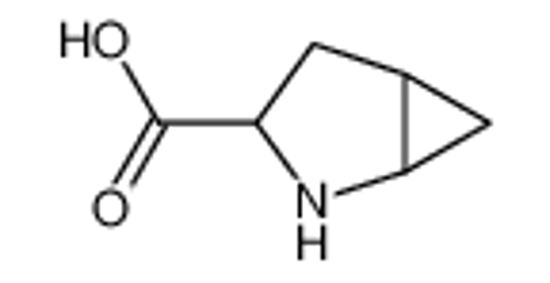 Picture of (1S,3S,5S)-2-azabicyclo[3.1.0]hexane-3-carboxylic acid