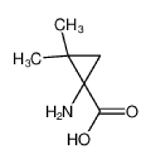 Picture of (1R)-1-amino-2,2-dimethylcyclopropane-1-carboxylic acid