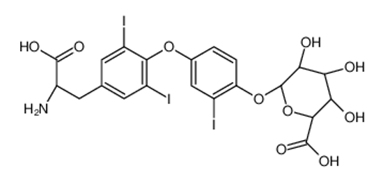 Picture of (2S,3S,4S,5R,6S)-6-[4-[4-[(2S)-2-amino-2-carboxyethyl]-2,6-diiodophenoxy]-2-iodophenoxy]-3,4,5-trihydroxyoxane-2-carboxylic acid