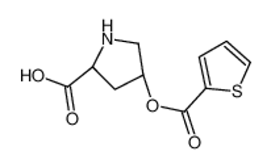 Picture of (2S,4R)-4-(thiophene-2-carbonyloxy)pyrrolidine-2-carboxylic acid