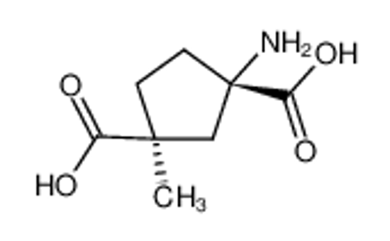 Picture of (1S,3S)-1-amino-3-methylcyclopentane-1,3-dicarboxylic acid