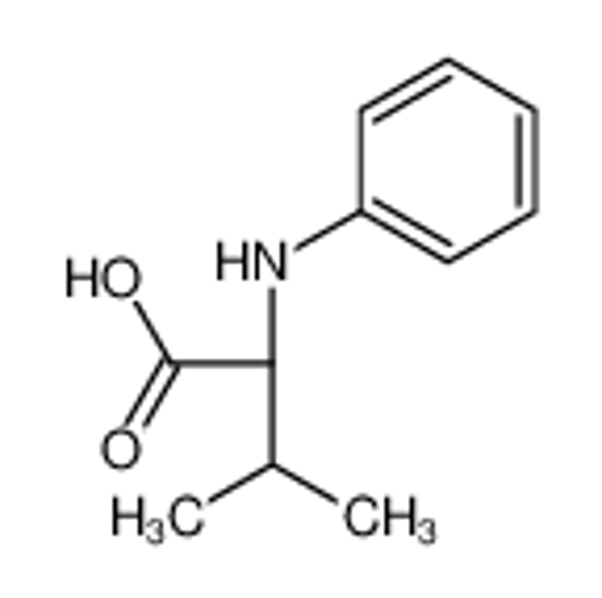 Picture of (2S)-2-anilino-3-methylbutanoic acid