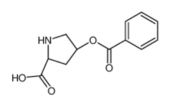 Picture of (2S,4R)-4-benzoyloxypyrrolidine-2-carboxylic acid