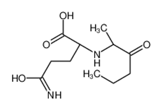 Picture of (2S)-5-amino-5-oxo-2-(3-oxohexan-2-ylamino)pentanoic acid