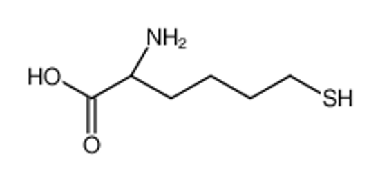 Picture of (2S)-2-amino-6-sulfanylhexanoic acid