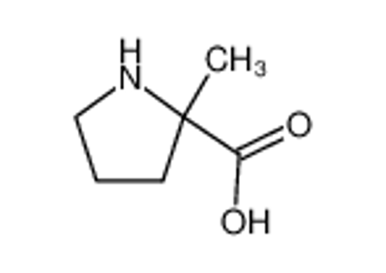 Picture of α-methylproline