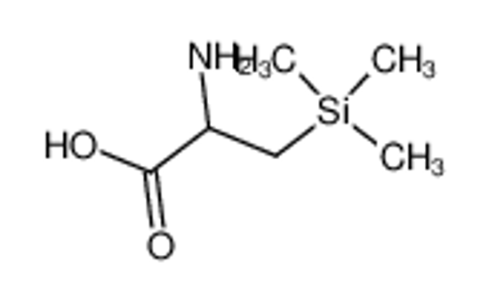 Picture of β-(trimethylsilyl)alanine