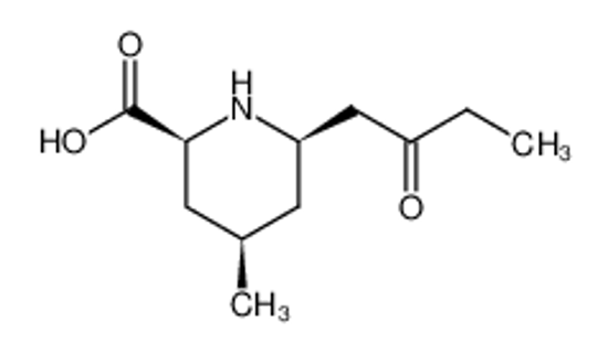 Picture of (2S,4R,6R)-4-methyl-6-(2-oxobutyl)-2-piperidinecarboxylic acid
