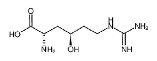 Picture of (+)-γ-hydroxy-L-homoarginine