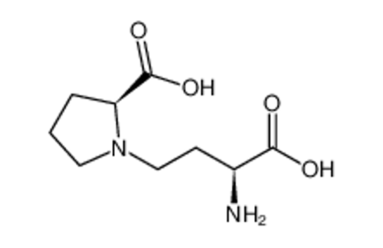 Picture of ((S)-3-Amino-3-carboxypropyl)-L-proline