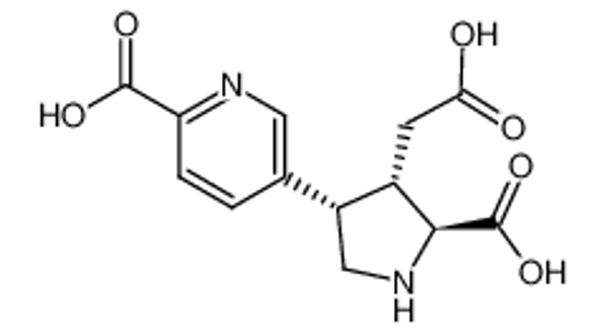 Picture of (2S,3S,4S)-3-carboxymethyl-4-(2-carboxy-5-pyridyl)-2-pyrrolidinecarboxylic acid