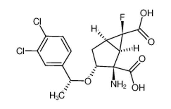 Picture of (1R,2R,3R,5R,6R)-2-amino-3-((R)-1-(3,4-dichlorophenyl)ethoxy)-6-fluorobicyclo[3.1.0]hexane-2,6-dicarboxylic acid