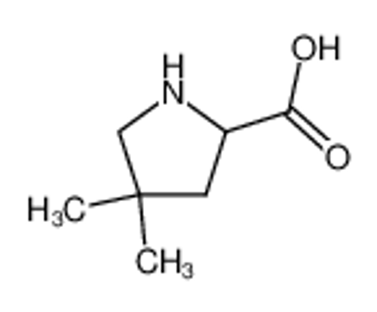 Picture of 4,4-dimethylproline
