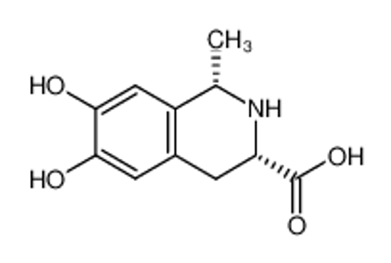 Picture of (1S,3S)-1,2,3,4-tetrahydro-6,7-dihydroxy-1-methyl-3-isoquinolinecarboxylic acid