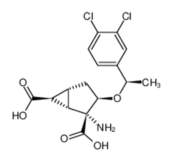 Picture of (1S,2R,3R,5R,6S)-2-amino-3-((R)-1-(3,4-dichlorophenyl)ethoxy)bicyclo[3.1.0]hexane-2,6-dicarboxylic acid