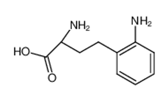 Picture of (+-)-2-amino-4-(2-amino-phenyl)-butyric acid