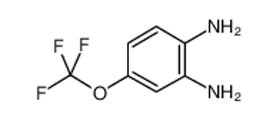 Picture of 4-(Trifluoromethoxy)benzene-1,2-diamine