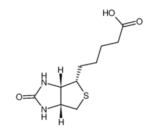 Picture of biotin