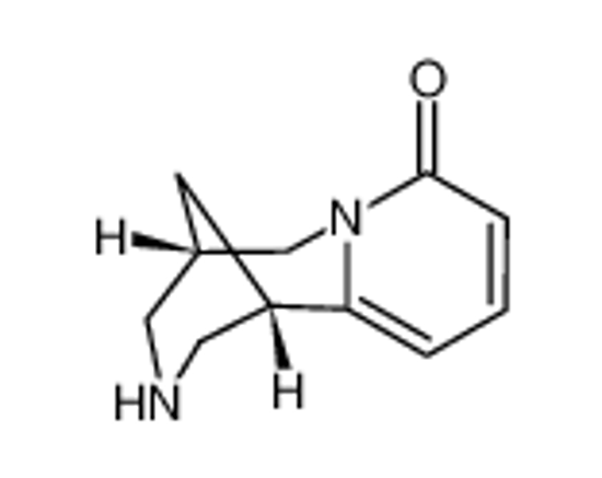 Picture of cytisine