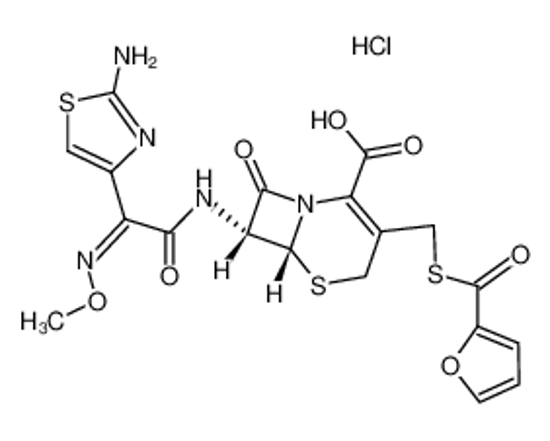 Picture of Ceftiofur Hydrochloride