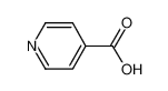Picture of isonicotinic acid
