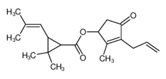 Picture of allethrin
