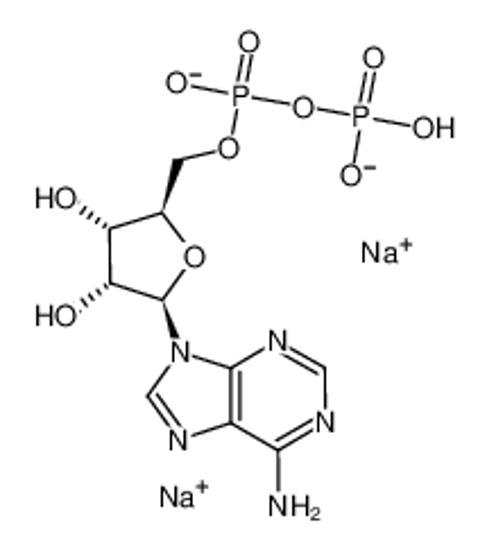 Picture of Adenosine-5'-diphosphate disodium salt