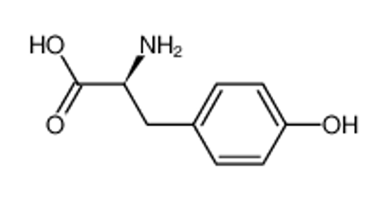 Picture of L-Tyrosine