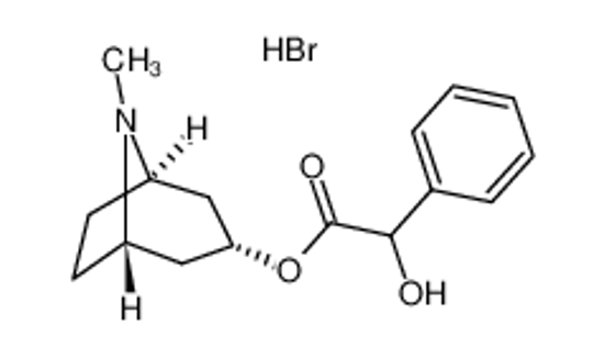 Picture of alpha-Hydroxybenzeneacetic acid 8-methyl-8-azabicyclo[3.2.1]oct-3-yl ester hydrobromide