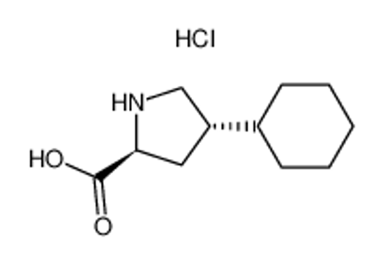 Picture of trans-4-Cyclohexyl-L-proline hydrochloride