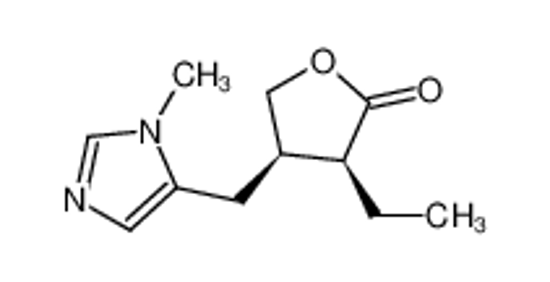 Picture of (+)-pilocarpine