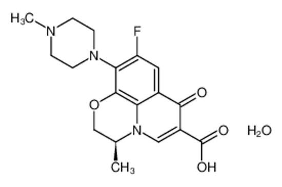 Picture of Levofloxacin Hemihydrate