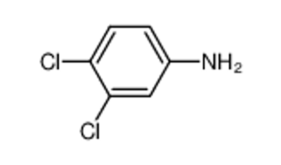 Picture of 3,4-Dichloroaniline