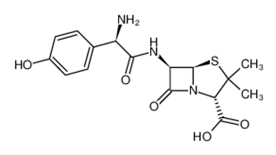 Picture of amoxicillin