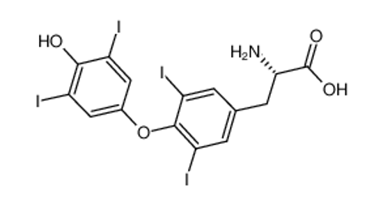 Picture of L-thyroxine