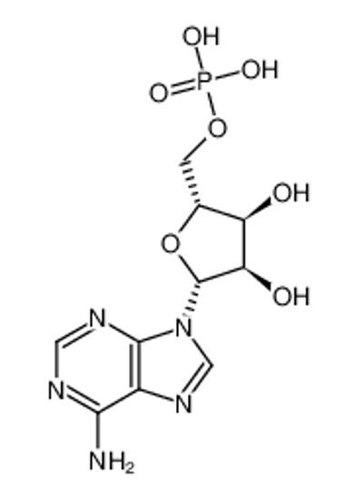 Picture of Adenosine monophosphate (AMP)