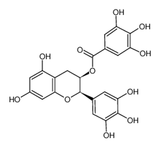 Picture of (-)-epigallocatechin 3-gallate