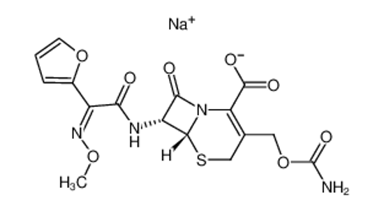 Picture of Cefuroxime Sodium Salt