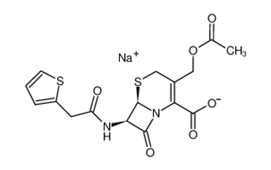 Picture of cephalothin sodium