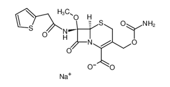 Picture of Cefoxitin Sodium Salt
