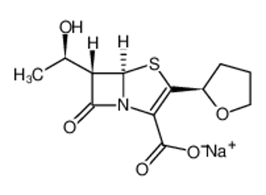 Picture of Faropenem sodium hydrate