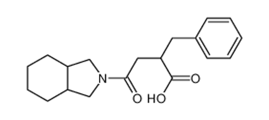Picture of [2(S)-cis]-Octahydro-γ-oxo-α-(phenylmethyl)-2H-isoindole-2-butanoic acid