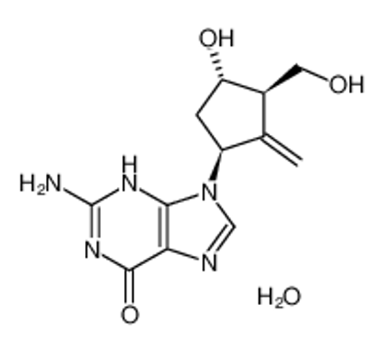 Picture of Entecavir hydrate