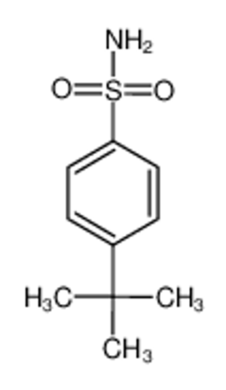 Picture of 4-Tert-Butylbenzenesulfonamide